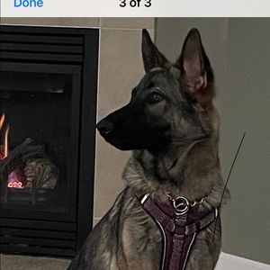 Meet your Posher, Cyndi